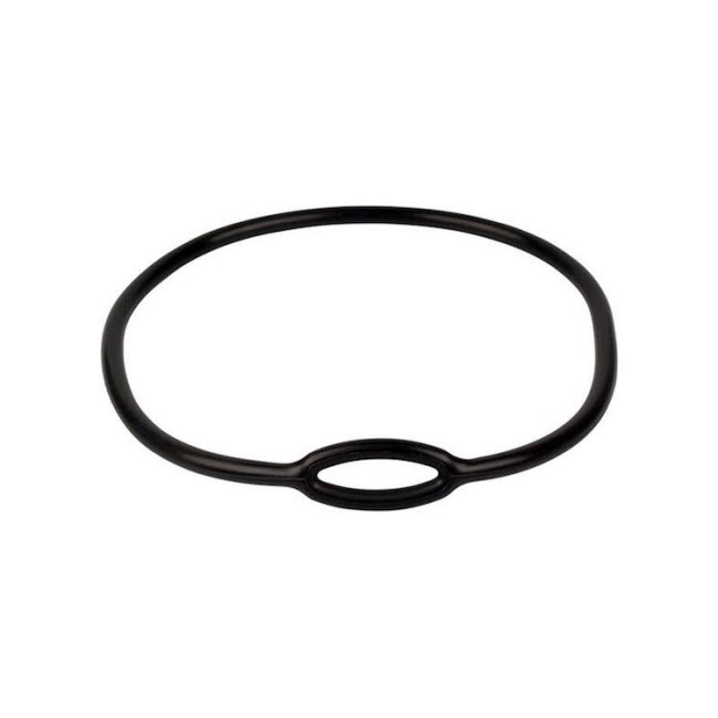 Lungenautomat Atemregler Neckband