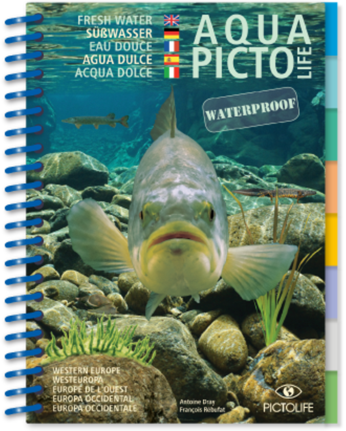 Süsswasser Fisch Guide Buch